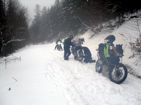 A la conquete du Madrès avec max 15 participants !!!!!!!!!!!!!!! - Page 14 177607SDC18665