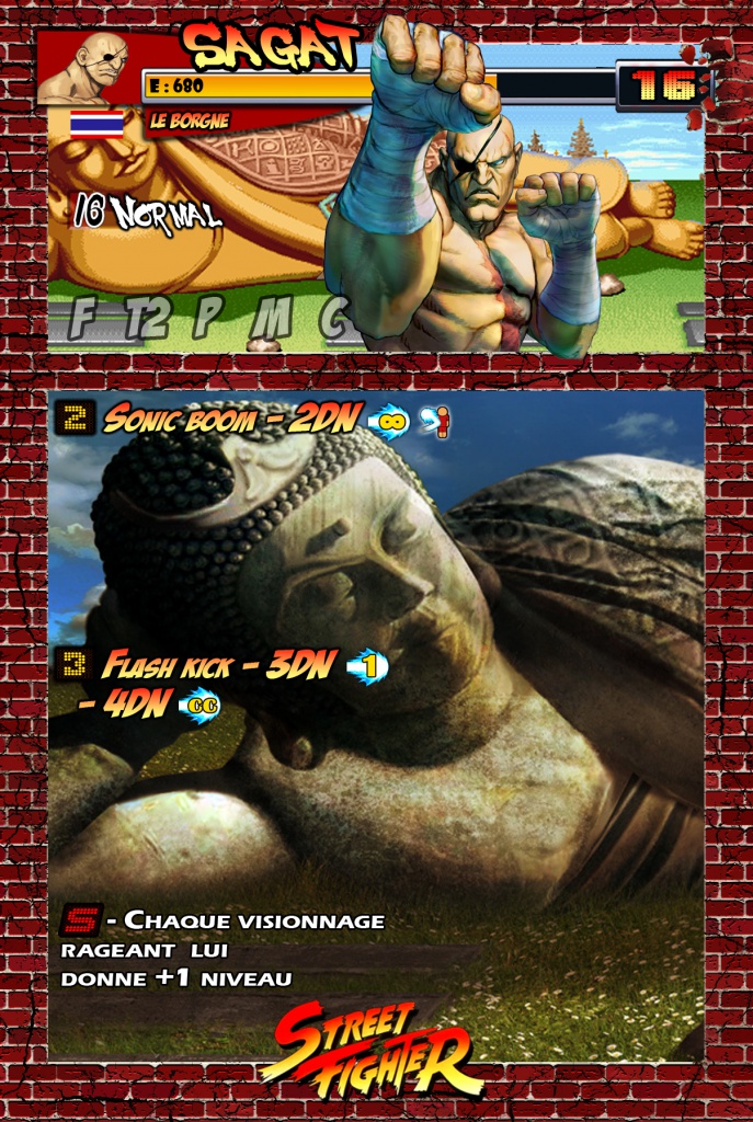 Fiches Street Fighter - Page 3 18001809Sagatcopie