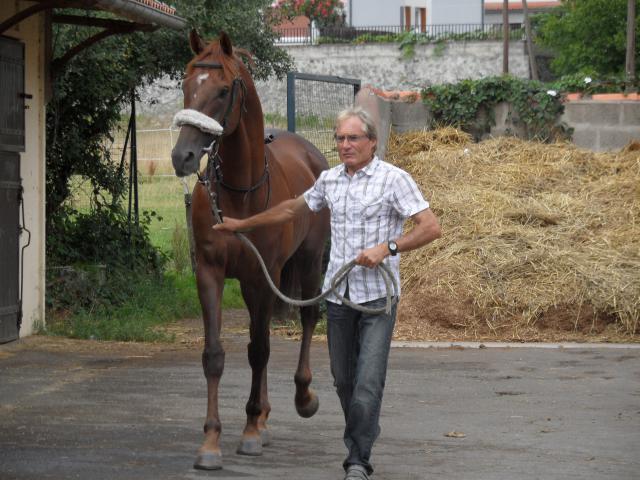 Tiercé à l'hippodrome d'Aurillac 182368SAM0129