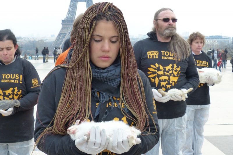 14 - Des lapins morts pour secouer les consciences - Paris 27 mars 2013 183542P1030383