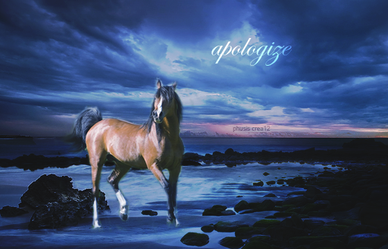 → chevaux bais 183620Apologize