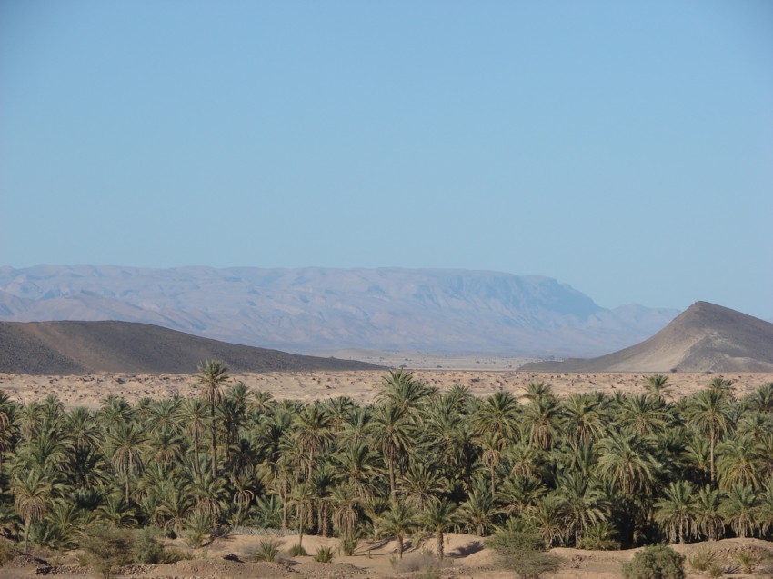 Le Grand Sud du Maroc - II 186608121