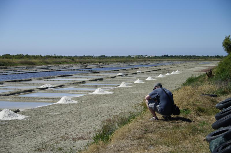 Sortie photo sur Oleron (17) Samedi 07 Aout 2010 à 10h00 - Page 6 190095sortie_ile_oleron__27_