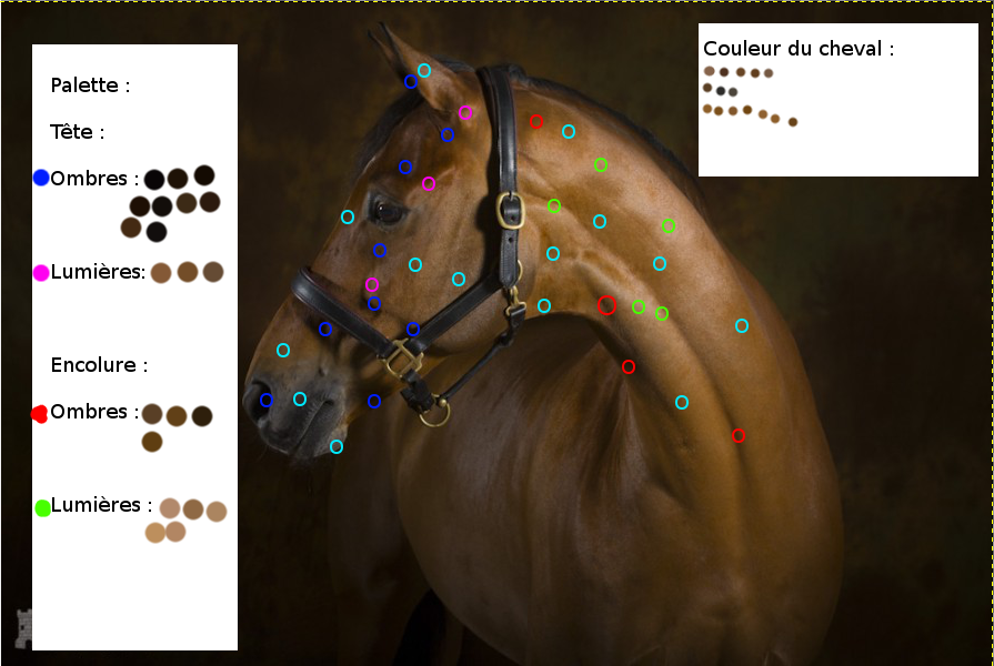 Comment faire une palette ? 191615palettte