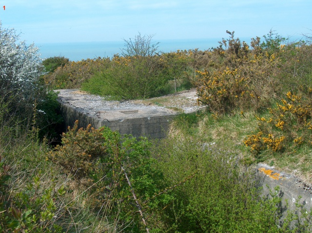 Le S-100 de la batterie Lindemann en photos 192964111