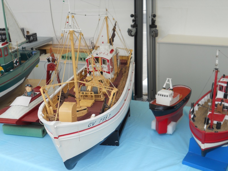 démo de maquettes navigantes sur la place Napoléon à la Roche S/Yon le 31 Mai et le 1er Juin 201885DSCN4024