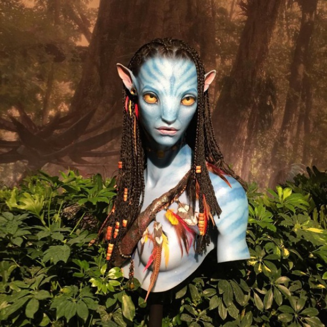 Pandora - The World of Avatar [Disney's Animal Kingdom - 2017] - Page 32 20268999w6
