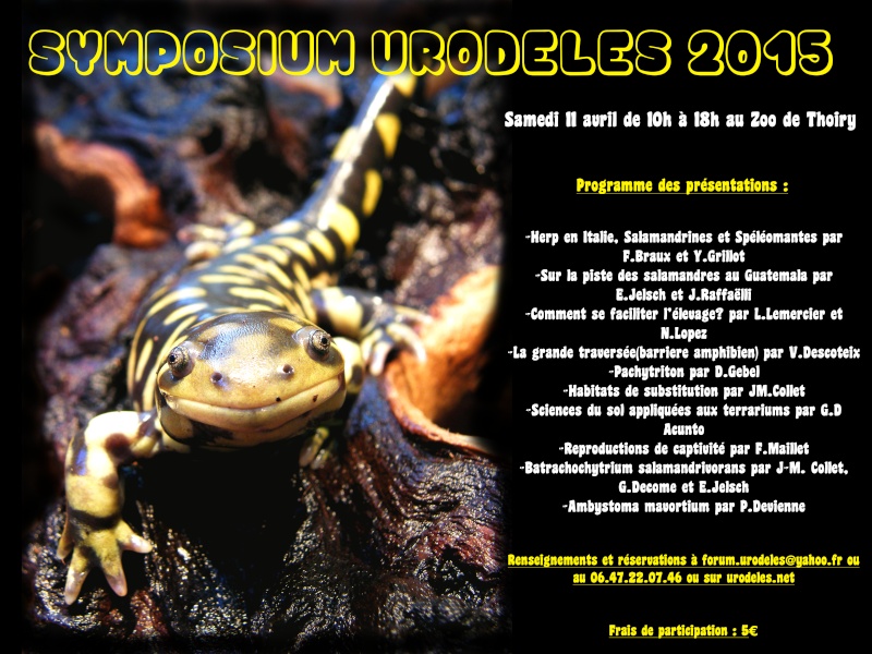 Symposium Urodèles 2015 à Thoiry - Page 2 205507jaune10