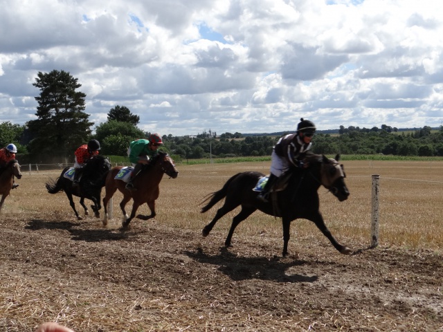 courses de poneys en bretagne 207200DSC00449