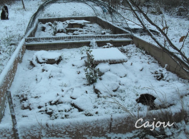 En Auvergne 208276neige2