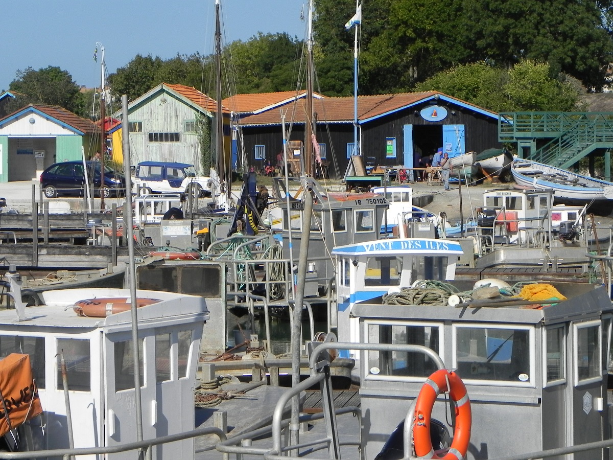 [VIE DES PORTS] Quelques bateaux de pêche (sur nos côtes Françaises) - Page 24 210598Photo004