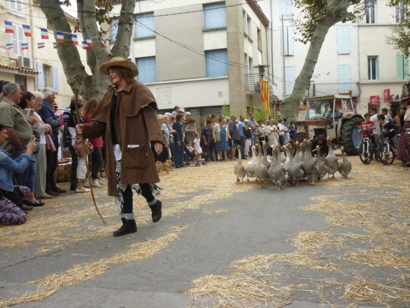 Défilé des vieux tracteurs 212329SENAS5Oct2014321