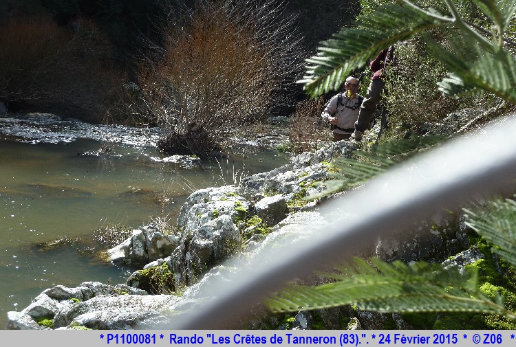 24 Février 2015 - Rando "les crêtes de Tanneron (83)"  214362P1100081