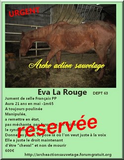 sauvetage 2013  215763eva