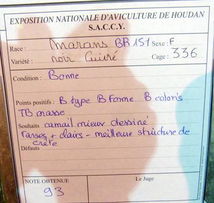 2014 - exposition d'aviculture Foire ST MATTHIEU 27 et 28 Septembre 2014 - Page 3 217021P1150685