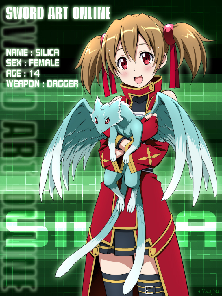 Silica & Pina [Sword Art Online] 223654SwordArtOnlinefull1425256