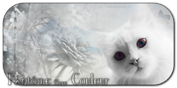 Recrutement d'un Graphiste. 225316FantmeSansCouleur