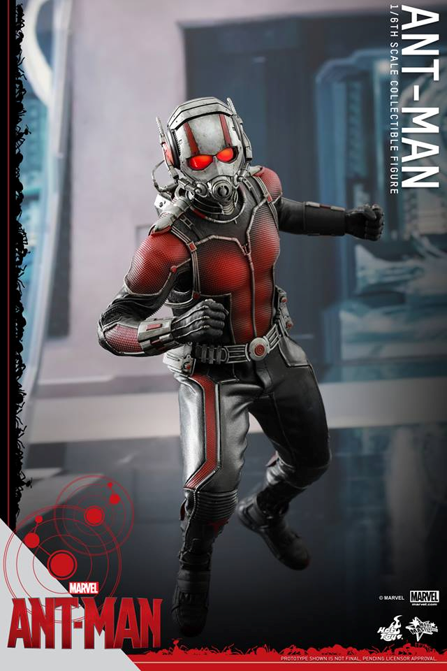 HOT TOYS - Ant-Man - Ant-Man 228357109