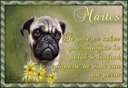 Mi Vida con Tronco y Frase 230113martes