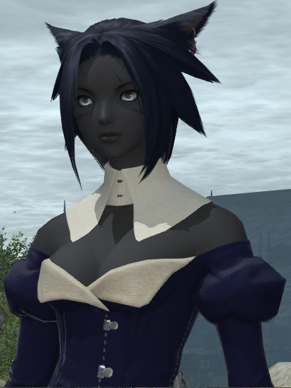 [Miqo'te] Ako Rahz alias Silver Eyes 234705ffxiv27092013203546