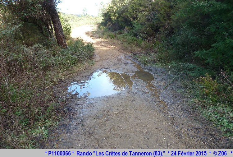 24 Février 2015 - Rando "les crêtes de Tanneron (83)"  236154P1100066