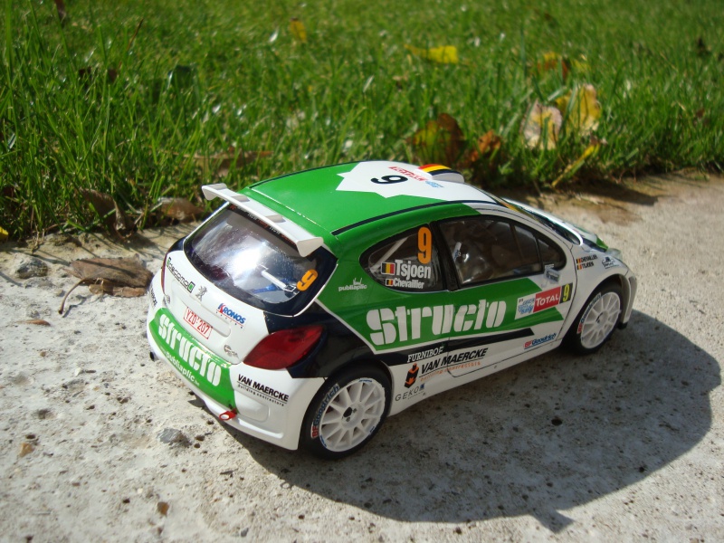 PEUGEOT 207 S2000 1/24 Pieter Tsjoen Eddy Chevaillier Ypres 2010 237018DSC08814