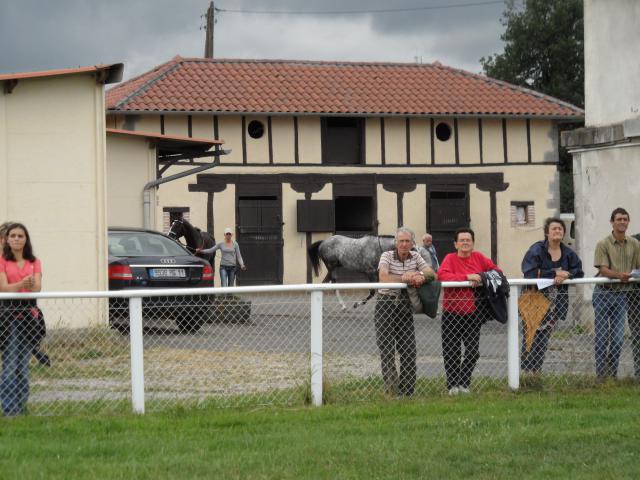 Tiercé à l'hippodrome d'Aurillac 237768SAM0121