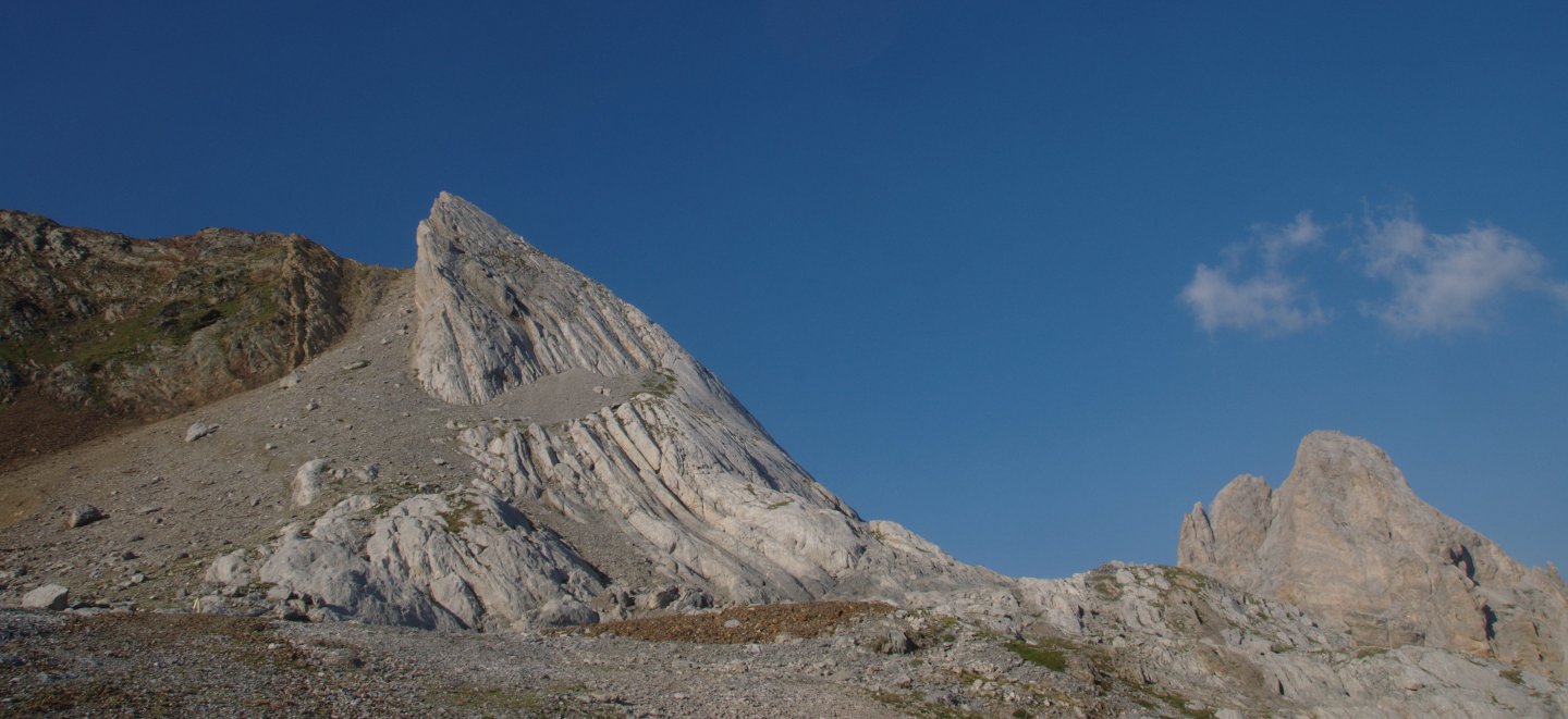 Une vie pyrénéenne de labrit des pyrénées - Page 14 238834gou0267