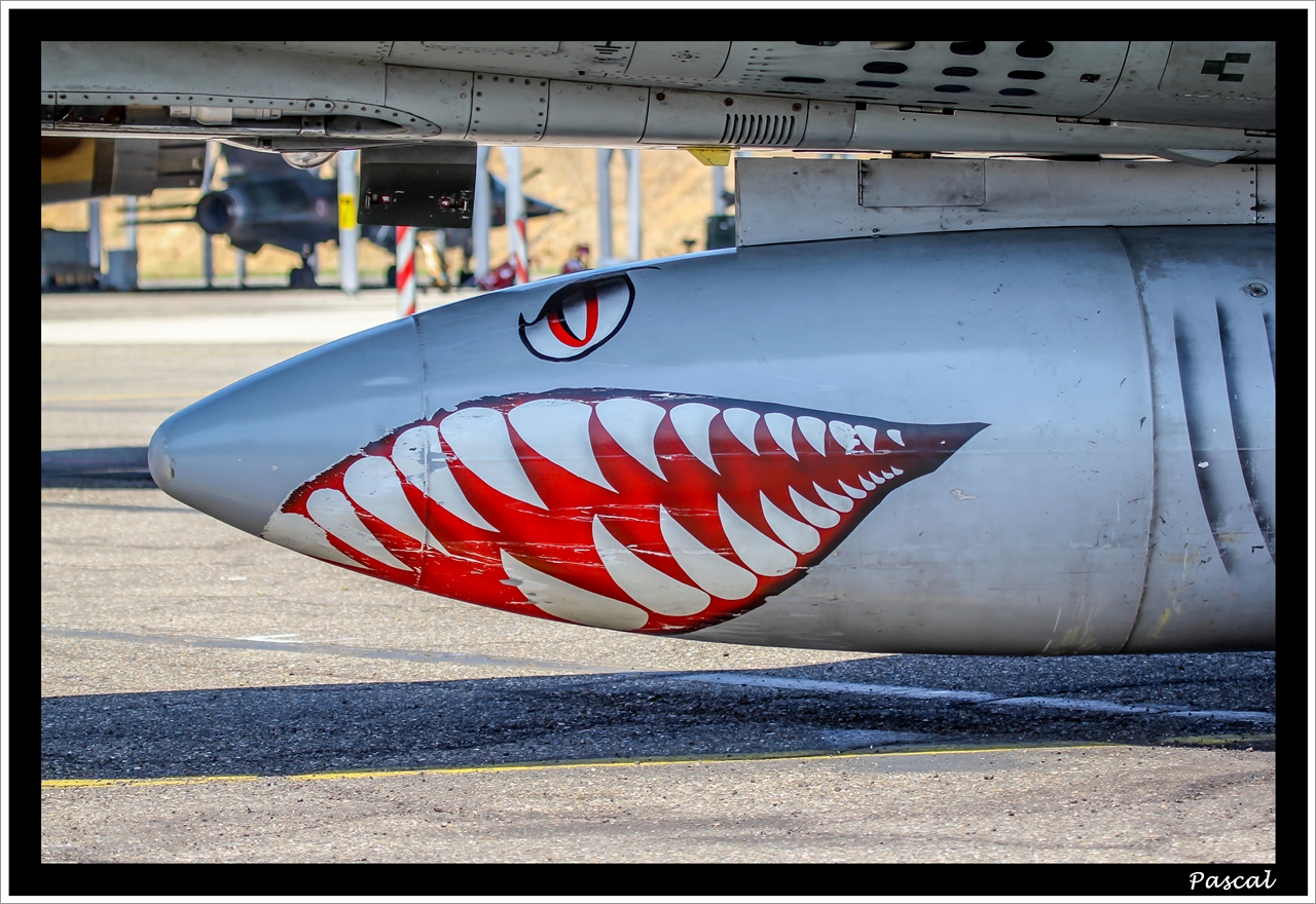 Retrait du Mirage F1 sur la BA-118 Mont-de-Marsan les 12 & 13 juin 2014 - Page 5 240665IMG7138R1280