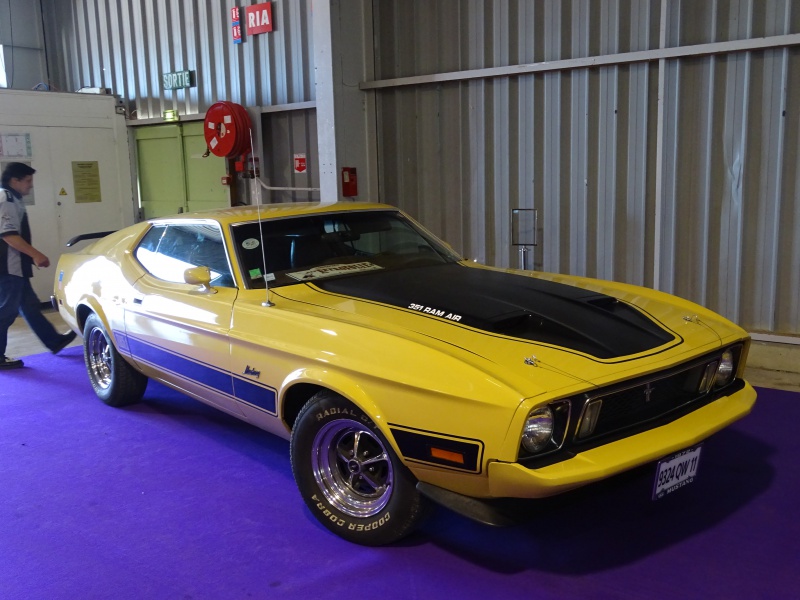 10-11-12 octobre 2014, parc des expos à Béziers ... 244516mtjaune