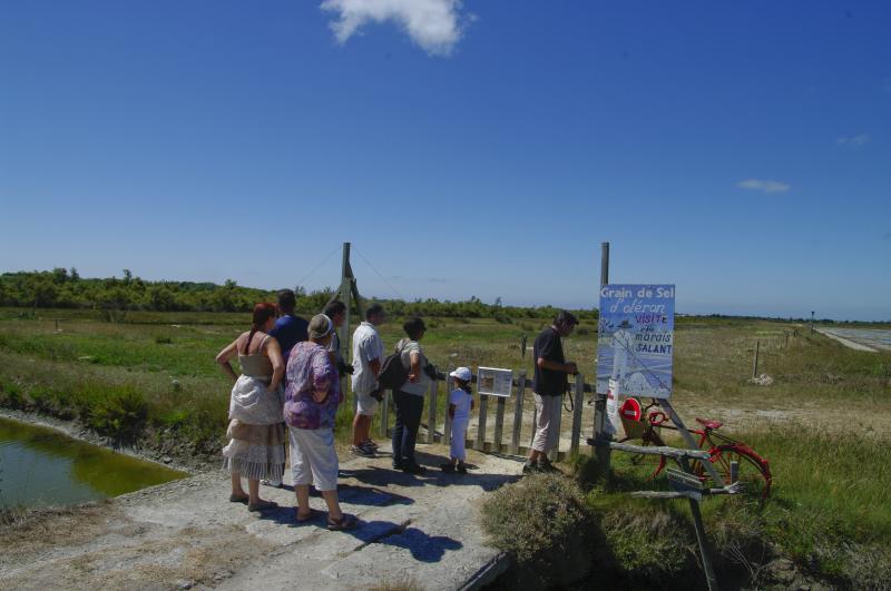 Sortie photo sur Oleron (17) Samedi 07 Aout 2010 à 10h00 - Page 6 248254sortie_ile_oleron__16_