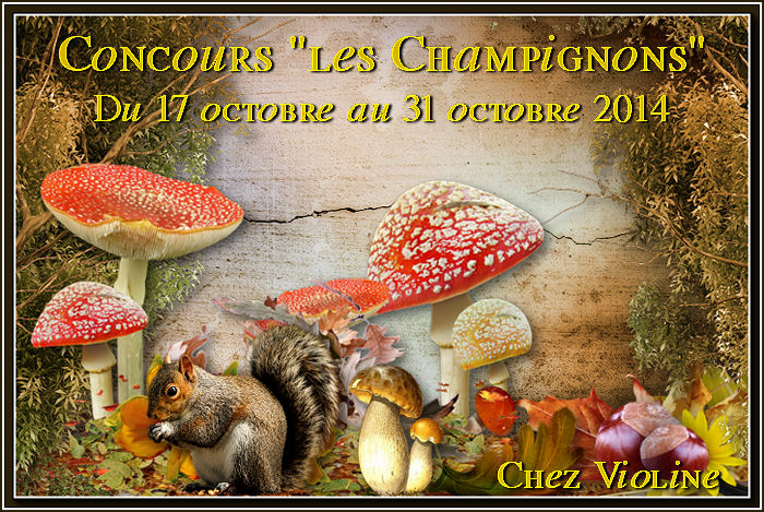 Suite 1- Mes diplômes et récompenses  - Page 2 252399301836Creachou171014BanChampignons