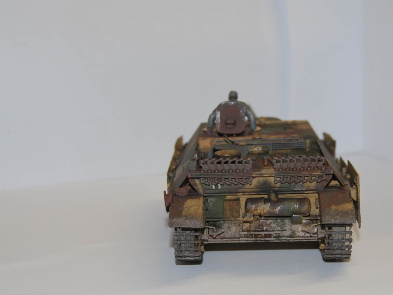 Jagdpanzer IV L/70 (V) [Tamiya]  257565DSC2118