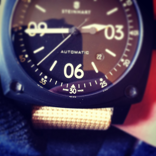 Steinhart - [REVUE] Ma Steinhart Aviation Vintage - Page 8 258975IMG9727