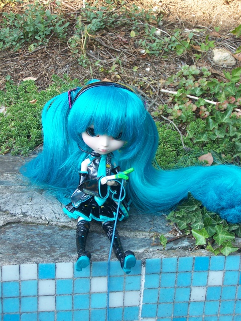 Mes Pullips     nouvelles photos  2601341001075