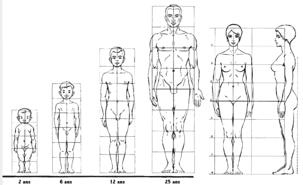 Le cabanon de Fanny couture - Page 9 262237proportion2