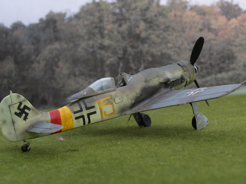 Focke Wulf 190D 263890P6045650