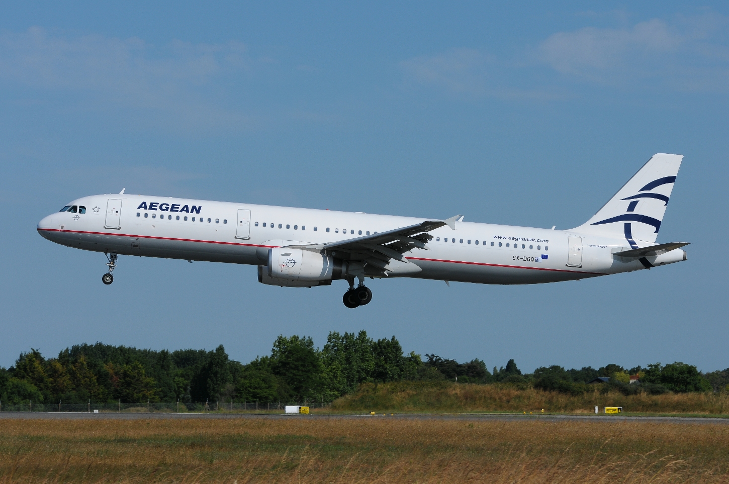 [21/06/2014] AIRBUS A321 (SX-DGQ) AEGEAN 266019Copiede20140621NANTES016