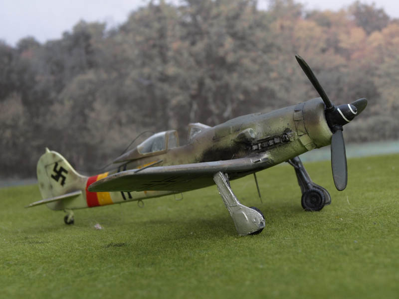 Focke Wulf FW190D  Tamiya 1/48 266872P6045649