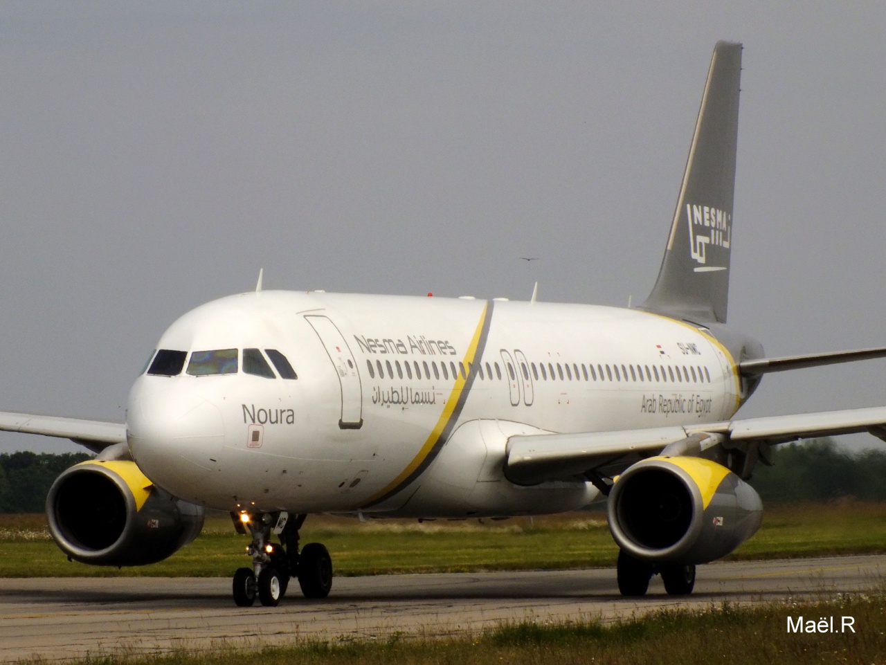 [01/06/2014] A320 (SU-NMC) Nesma Airlines  274019Juinn1056