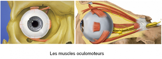 lumiere - 2013: le 02/10 à 21h30 - Lumière étrange dans le ciel  - ATTERT BELGIQUE -  276364nystagmus2