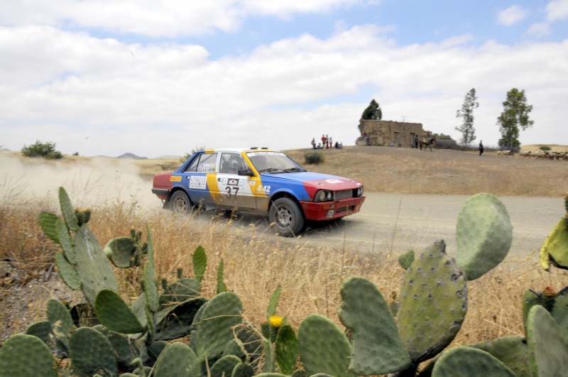 Rallye du Maroc Historique 2013 279472SHG4316TIF