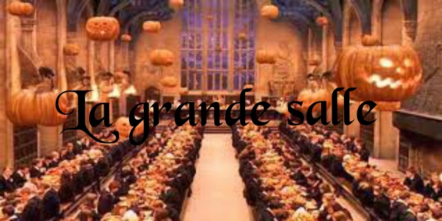 Grande Salle 282011photostudio1455984644896