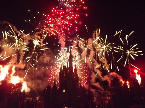 WDW Mai 2011 et la fete continue en Mars 2012 - Page 29 288453wdw20122716