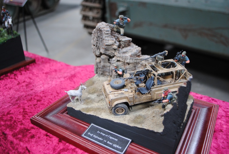 Concours International de Maquettes 2013 288575DSC0377