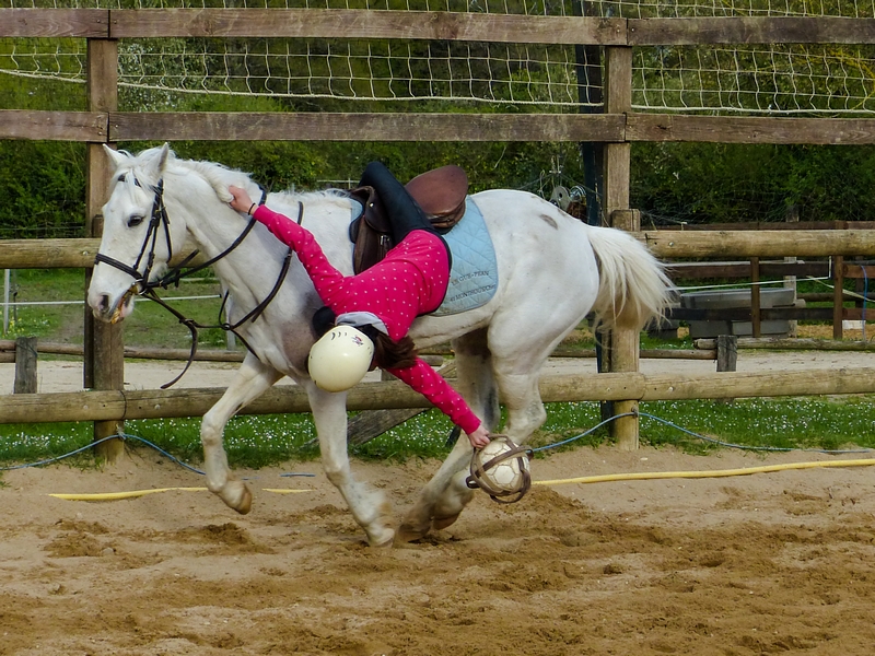 HORSE BALL - ramassage du ballon au sol *** sportif *** 289025P117045211