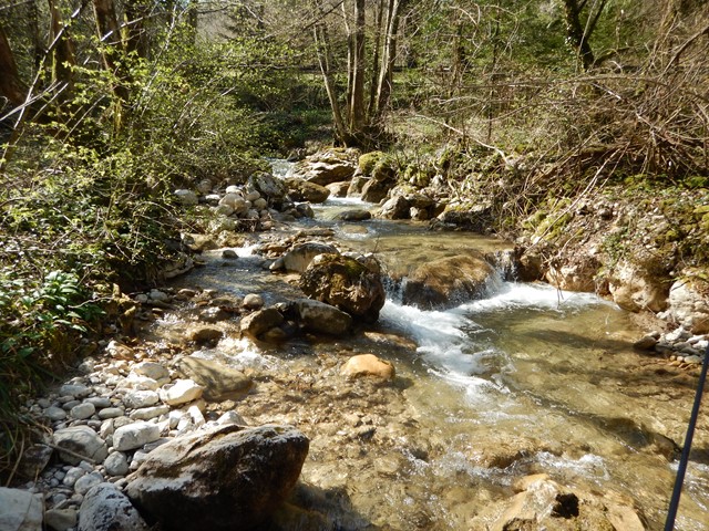 Découvertes dans le Vercors et la Chartreuse au toc 2915123640x480