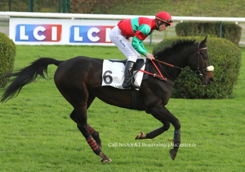 Photos Auteuil 19-11-2016  2945245J6A1589