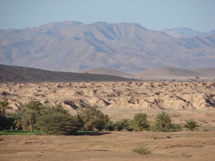 Le Grand Sud du Maroc - II 296432123