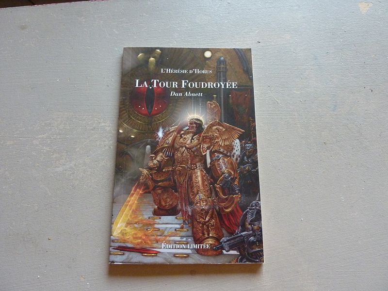 Le Roi Sombre / La Tour Foudroyée (Bibliothèque Interdite) 296752toursombre2